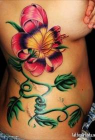 Боковые ребра красиво расписанные разноцветные цветы тату