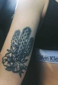 Girl's arm on black gray sketch point thorn skill creative literary cactus tattoo picture
