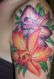 女性肩部彩色兰花纹身图案