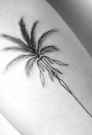 Coconut Tree Tattoo Illustration - 9 Simple Black Coconut Tree Tattoo Pattern Works
