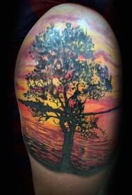 Usamljeni uzorak tetovaža na drvetu na obali rijeke