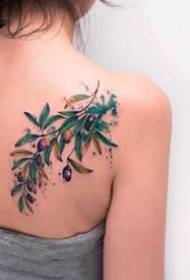 9 alyvuogių šakelių ir vaisinių augalų tatuiruotės modelis