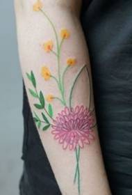 Virágos növénynek nyomtatott vonalai tetoválás kéziratmintázatának elismerése