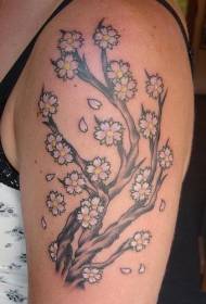 Female shoulder color cherry tree tattoo pattern