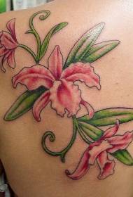 Weiblech Schulterfaarf rosa Orchid Tattoo Muster
