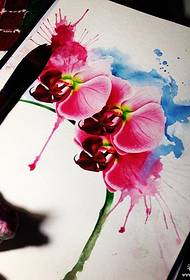 Splash ink watercolor realistic Phalaenopsis tattoo pattern manuscript