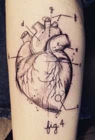 scientific style human heart number and letter tattoo pattern