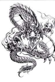 swarte grize skets kreatyf oerhearskjend draak totem tattoo manuskript