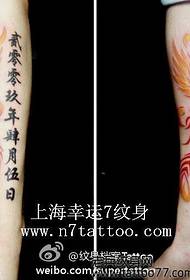 brazo patrón tatuaxe fénix de bo aspecto de cores