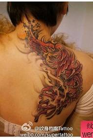 beauty back Nice color phoenix tattoo pattern