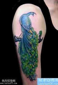 arm color phoenix tattoo pattern