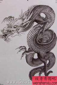 хорошая оценка картины татуировки дракона шали