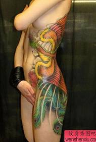 egy gyönyörű szuper jóképű színes főnix tetoválás mintát