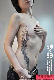 schoonheidsbuik tot rib Phoenix en veer Tattoo patroon