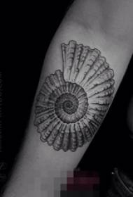 A set of painted minimalist lines on the shells, small and fresh tattoos
