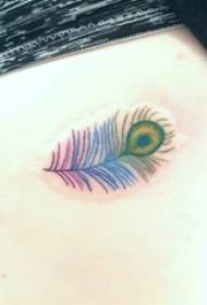 girls on the side of the waist painted gradient simple lines creative peacock feather tattoo pictures