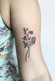 en række udsøgte sort punkterede tatoveringer i små mønstre fra Kate Huali