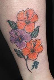 kaki ungu dan oren bunga hibiscus tatu