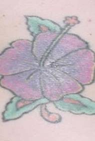 kugu launi mai kyau hibiscus tataccen hoto