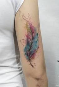a set of feather-themed watercolor feather tattoo patterns 9