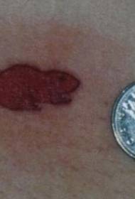 arm enkel liten rød bever tatoveringsbilde