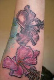 arm Color dark purple hibiscus tattoo pattern