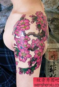 et japansk skønheds skulderfarve tatoveringsmønster med kirsebærblomst