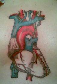 Chest color bio heart tattoo picture