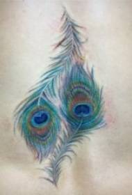 Tattoo con plumas Figura 8 suave e fermoso patrón de tatuaxe de plumas