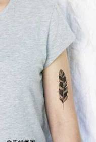 pequeno patrón de tatuaxe de plumas no brazo