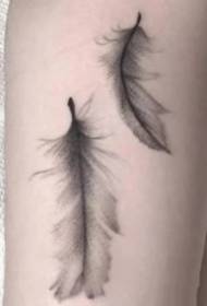 Very small and fresh set of nine elegant feather tattoo pictures