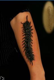 arm black 蜈蚣 pattern appreciation