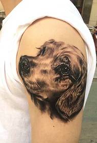 put the most beloved puppy on his arm