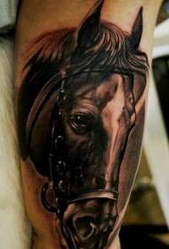 realistic horse portrait tattoo pattern on the arm