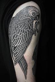 Velký papoušek tetování vzor