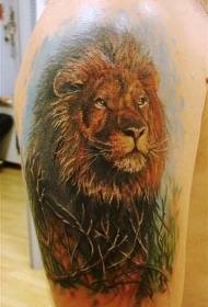 aranyos színes oroszlán és gally tetoválás minta
