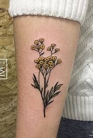 Small arm small fresh daisy tattoo pattern