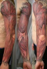 рука реалистичный реалистичный анатомический рисунок татуировки мышц
