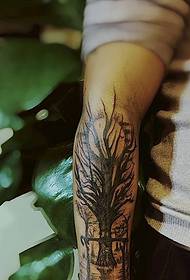ແຂນຮູບແບບ tattoo ຕົ້ນໄມ້ພຽງເລັກນ້ອຍຕະຫລົກ