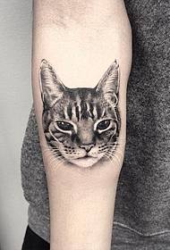 arm realism ຮູບແບບ tattoo avatar Cat
