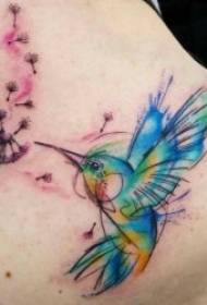 Tatoveringer med vinger 10 sett med tatoveringer med forskjellige stiler og former med vinger