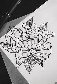 European and American peony flower line tattoo manuscript