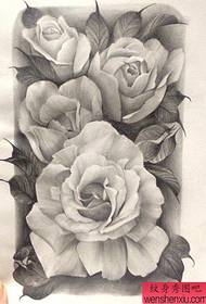 An exquisite sketch of a rose tattoo manuscript