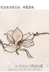Binga Činga Ju Jie magnolijas manuskripta tetovējuma modelis