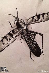 manuscript grasshopper tattoo pattern