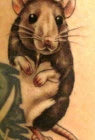 12 Zodiac уБо mouse tattoo manuscript pattern appreciation picture