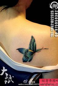 Girls' back shoulders popular beautiful color butterfly tattoo pattern