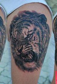 brazo masculino, dominante, tatuaxe, cabeza, tigre, fresco, patrón