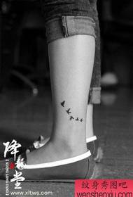 нога маленький і маленький птах татуювання візерунок