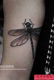 iphethini encinci ye tattoo ye-dragonfly ngaphakathi kwengalo
